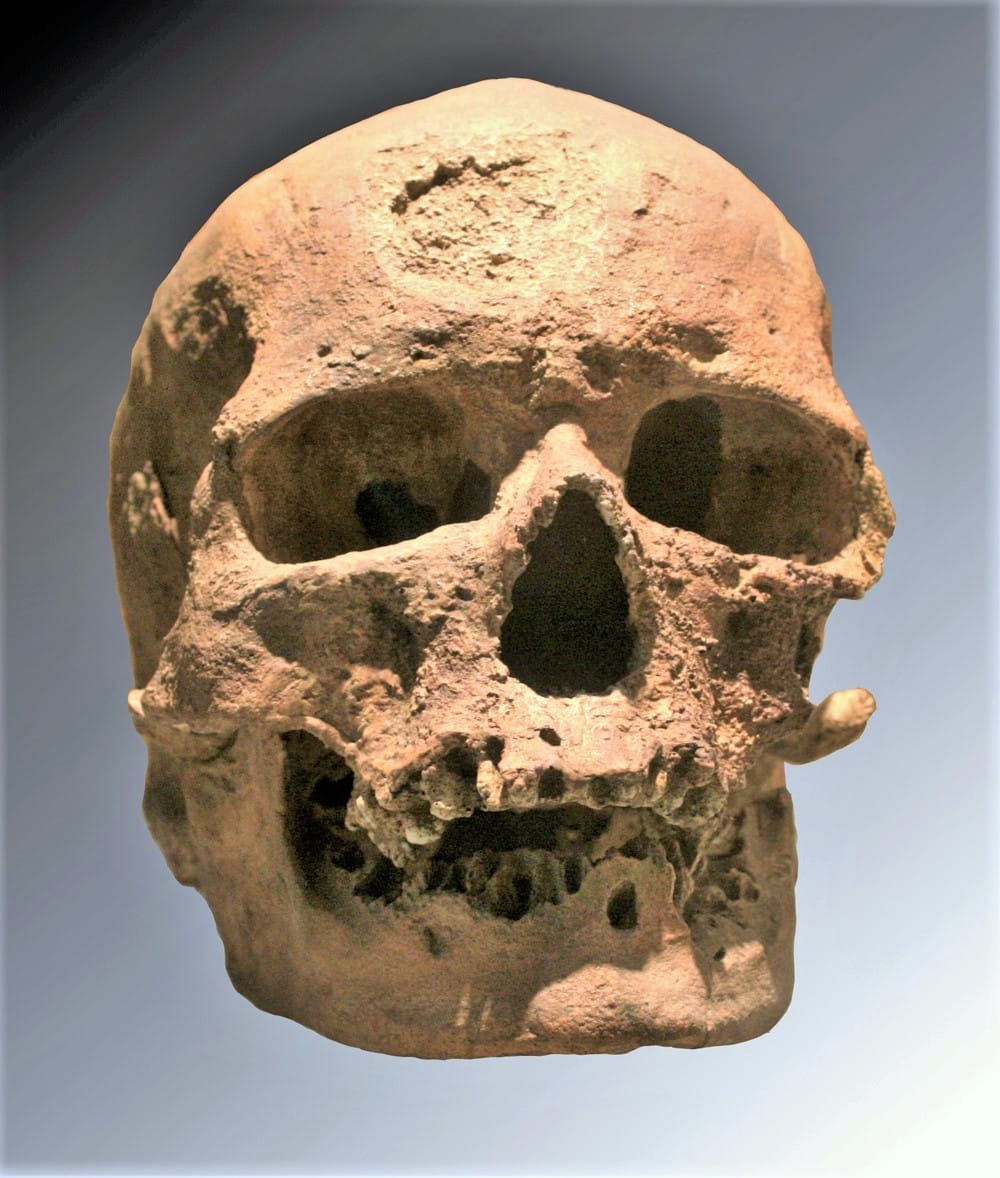 « L'Homme de Cro-Magnon », découvert en 1868 par Louis Lartet, est le premier représentant fossile d'Homo sapiens identifié en Europe. Il est daté de 28 000 ans. (c) Wikipédia