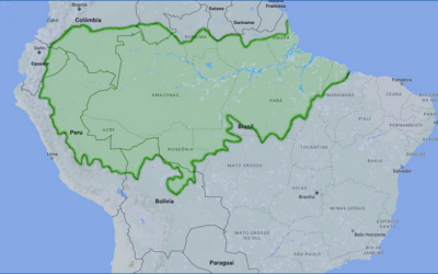 Le crime organisé colonise l’Amazonie. Le cancer avance et… les chirurgiens papotent (3)