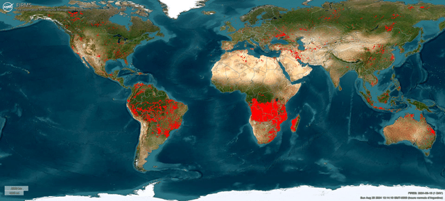 Figure 1: Localisation des incendies détectés par satellite durant la journée du 24-25 août 2024 (source FIRMS/NASA)